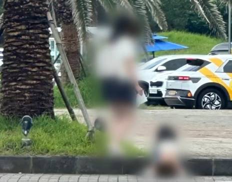 지난해 8월 서귀포시 성산읍 아쿠아플라넷 야외주차장에서 중국인 관광객으로 추정되는 여자아이가 용변을 보는 모습. (온라인 커뮤니티 갈무리)