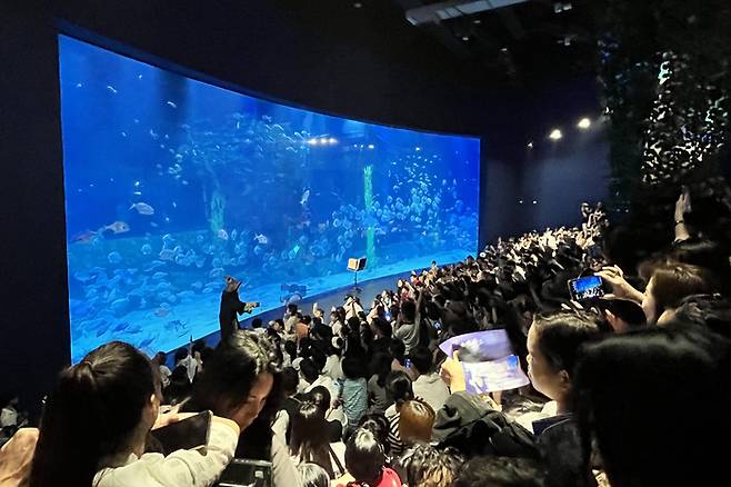 프러포즈 명소로 뜬 코발트 빛 수조.