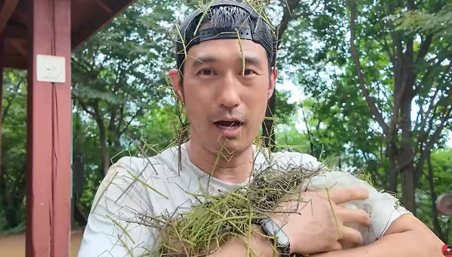 곤충 먹방 유튜버 이충근이 대벌레를 채집하고 있다. /사진=이충근 유튜브 화면캡쳐