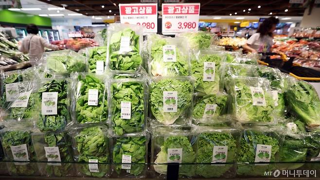 (서울=뉴스1) 오대일 기자 = 고물가가 이어지는 가운데 장마와 폭염으로 채소류 가격의 오름세가 가파르다.   29일 한국농수산식품유통공사(aT) 농산물 유통정보에 따르면 이달 26일 기준 배추 한 포기 가격은 3679원으로 지난달(3148원)보다 16.87% 상승했다. 제철 채소인 열무는 1㎏당 2524원으로 전월(2115원)보다 19.34% 올랐으며, 적상추도 100g에 974원으로 한 달 전(805원)보다 20.99% 올랐다.  사진은 30일 서울의 한 대형마트에서 고객들이 채소를 구매하는 모습. /사진제공=뉴스1