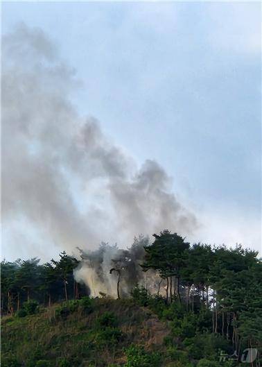 10일 오후 6시20분쯤 전남 보성군 복내면 시천리 야산에서 불이 나 연기가 피어오르고 있다. /사진=산림청 제공