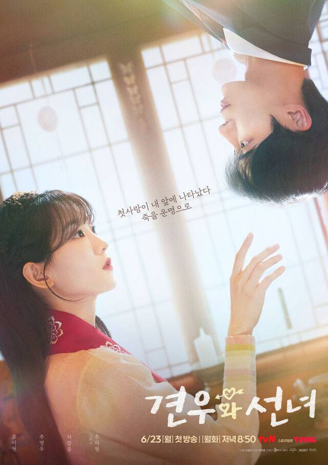 '견우와 선녀' 포스터/tvN