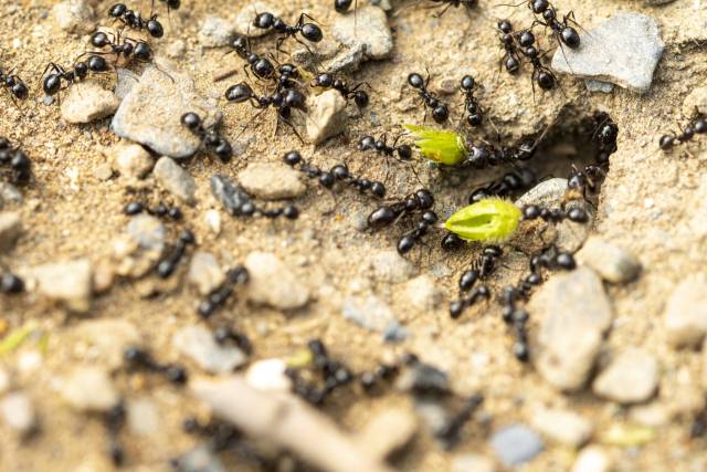 사진은 본 기사 내용과 관계 없음. 이미지투데이