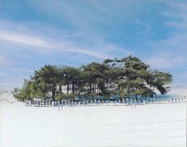 이천의 테마별 5개 연인길인 원적산~정개산둘레길, 산수유둘레길, 연인의 길에서 GPX  표준이미지로 좌표등록된 송말리 반룡송 천연기념물. 2025.7.12 /이천시 제공