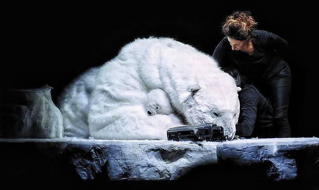 마임, 영상, 퍼핏 등을 활용한 벨기에 극단의 기후 변화 경고 연극 '디망쉬'의 녹아내린 빙하 위 북극곰. /우란문화재단
