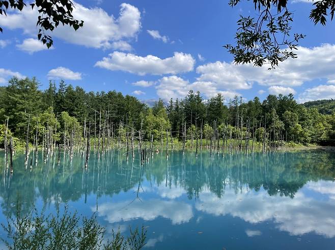 IMG_6202.jpeg 7월의 삿포로 풍경