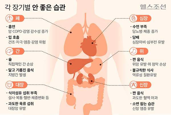 심장, 위, 신장, 간, 폐, 대장 등 주요 장기에 심각한 손상을 줄 수 있는 일상 속 습관을 개선해야 한다./그래픽=김민선