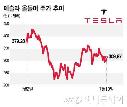 테슬라 올들어 주가 추이/그래픽=김지영