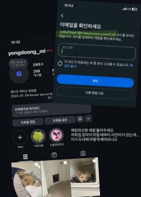 솔라 소셜미디어