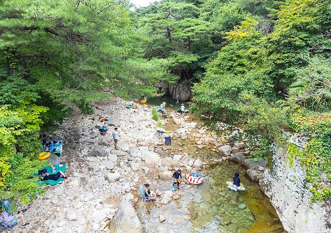 괴산군 제공