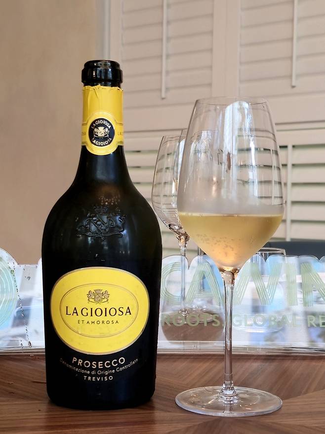 라 지오이오사 프로세코 트레비조. 최현태 기자