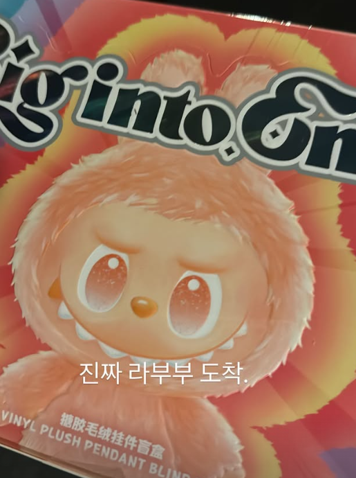 최근 전 세계적으로 인기를 끌고 있는 중국 캐릭터 인형 ‘라부부’(LABUBU) 가품 사기를 당한 가수 이영지의 사연이 대만 뉴스에까지 보도돼 화제다. 이후 라부부 인형을 다시 구매한 이영지. 인스타그램 캡처