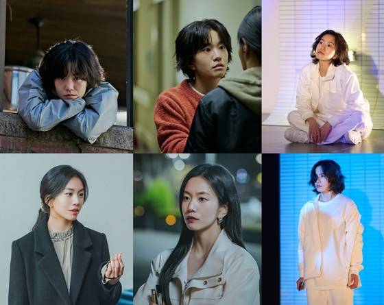 /사진=스튜디오 산타클로스엔터테인먼트, 레드앤블루, SBS