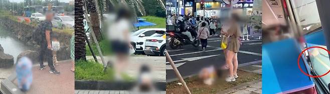 중국인 관광객 기초질서 위반 사진들 [온라인 커뮤니티 캡처. 재판매 및 DB 금지]