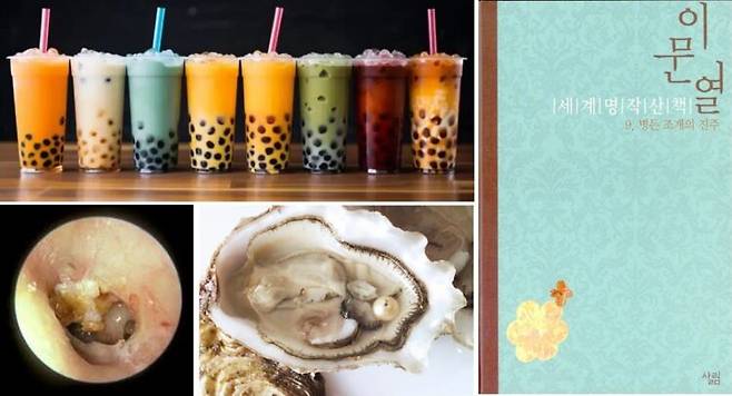 왼쪽 위에서 시계 방향으로 '다양한 버블티'(Taipec), '이문열의 세계명작산책 제9권 병든 조개의 진주',  '굴 속 진주'(BBC), '진주종성중이염'(Health topics). [사진=유영현 제공]