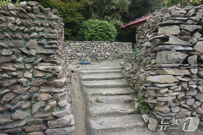 성벽같은 죽항도 돌담울타리. 2025.7.11/뉴스1 ⓒ News1 조영석 기자