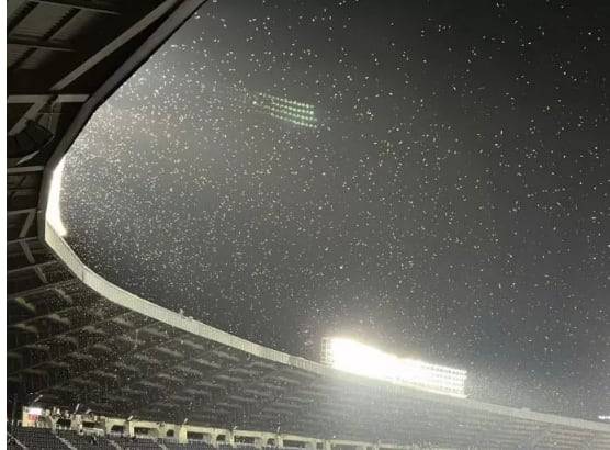 18일 잠실 야구장에서 열린 KT 위즈와 LG 트윈스 경기에서 동양하루살이 떼로 관중들이 크게 불편을 겪었다. /트위터