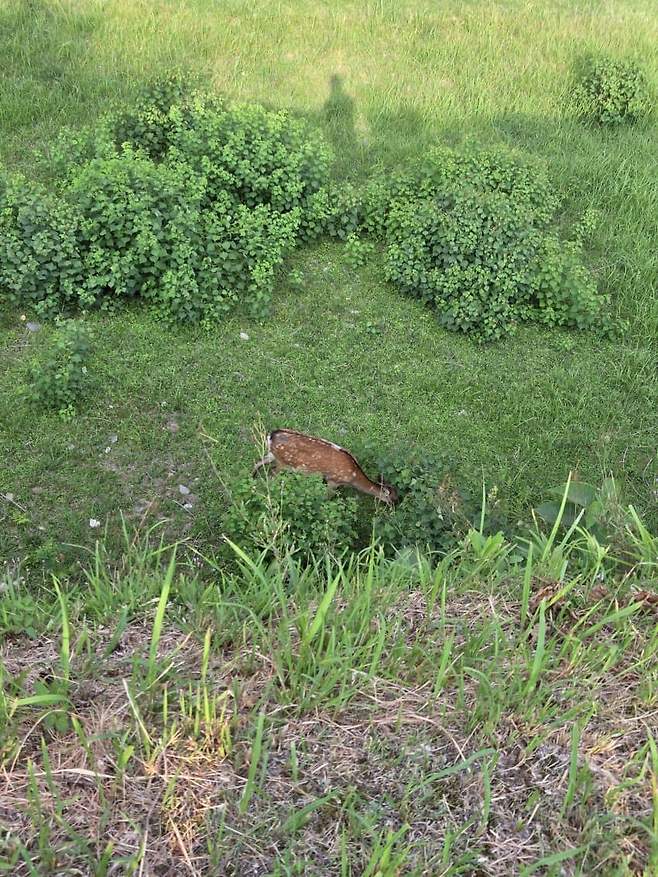 3fb8c32fffd711ab6fb8d38a4582766de1e55b86706eba6be7c74c1f503610ae266ee0568f788da04a30ef329c81