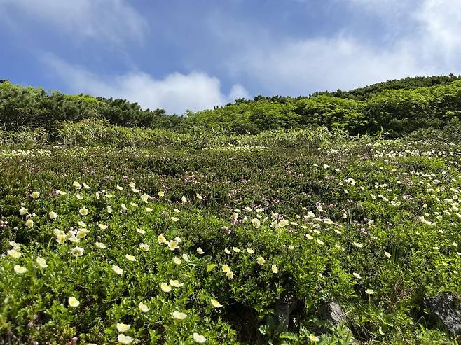 0490f719b0866ff020b5c6b011f11a398debb2007dc5e0a6adea