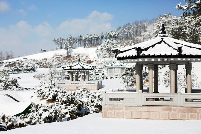 CcXXXVmVIAAkN4T.jfif.ren.jpg 의외로 잘 모르는 겨울풍경맛집 대학.jpg 의외로 잘 모르는 겨울풍경맛집 대학.jpg