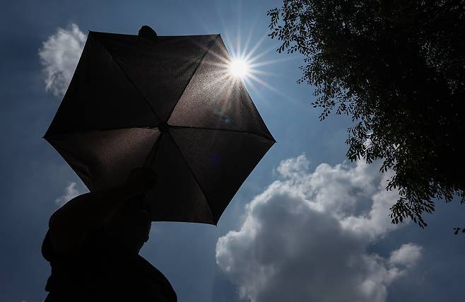 지난 9일 서울 성동구 서울숲에서 한 시민이 뜨거운 햇볕을 피해 양산을 쓰고 산책을 하고 있다. 뉴스1