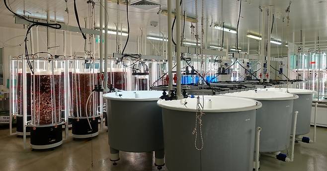 씨포레스트가 아스파라곱시스를 자체 배양 및 양식하는 장소.