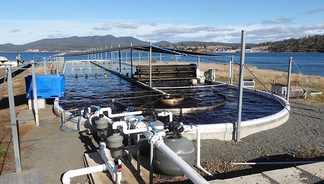 씨포레스트의 육상 양식장 모습.