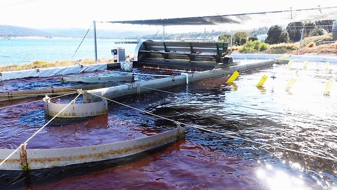 씨포레스트의 육상 양식장 모습.