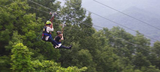하늘을 나는 듯한 짜릿함을 느낄 수 있는 짚와이어. /사진=단양관광공사