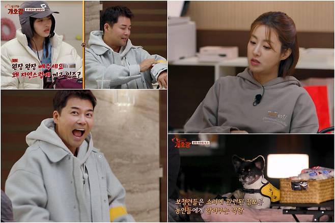 [서울=뉴시스] 13일 오전 10시 30분 방송되는 JTBC 예능 프로그램 '집 나가면 개호강'에서 전현무가 자리를 비웠던 '개호강 유치원'에 다시 돌아온다. (사진=JTBC ‘집 나가면 개호강 ’제공) 2025.07.11. photo@newsis.com  *재판매 및 DB 금지