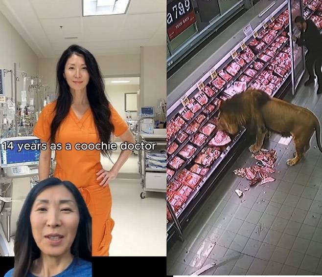 틱톡에서 건강 조언 인플루언서로 활동하는&nbsp;‘쿠치 닥터’(왼쪽)와 마트 매대에서 고기를 먹는 사자. 역시 인공지능(AI)이 활용된 가짜다.&nbsp; 사회관계망서비스(SNS) 캡처
