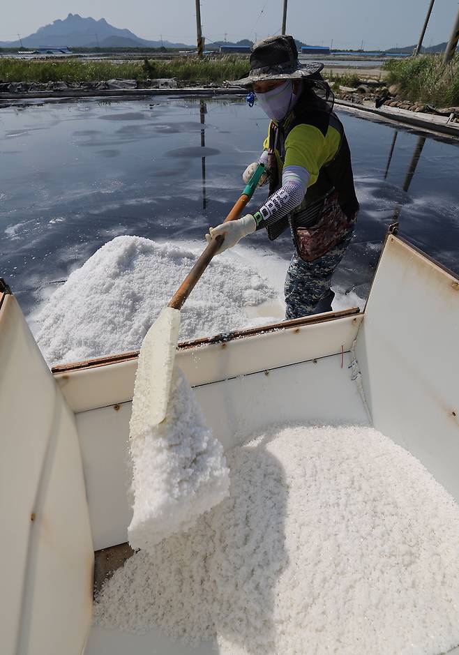 염부 전동길씨가 소금열차에 천일염을 싣고 있다.