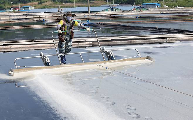 염부 전동길 씨가 신안 도초도 염전에서 소금을 긁어모으고 있다.