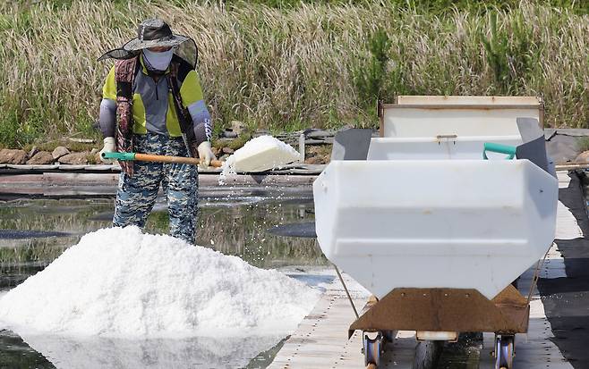 염부 전동길 씨가 소금열차에 천일염을 싣고 있다.