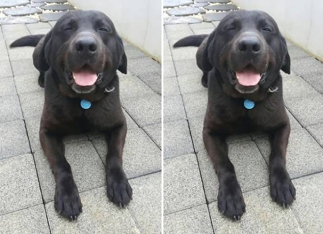 환희 웃는 큐의 모습. 경찰청