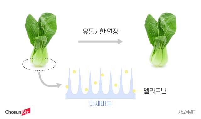 그래픽=정서희
