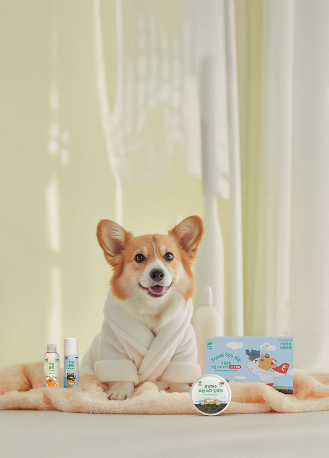 티웨이항공 제공.