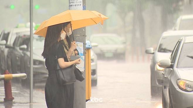 ▲ 자료 이미지