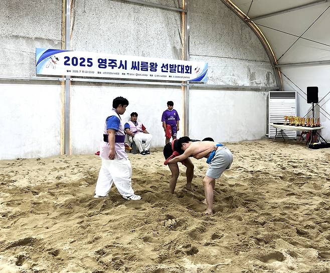 11일 영주시민운동장 내 실내씨름장에서 영주시 씨름협회가 주관하는 씨름왕 선발대회가 열렸다 [영주시 제공]