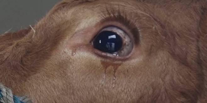 [게티이미지뱅크]