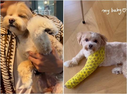 /사진=한예슬 개인계정