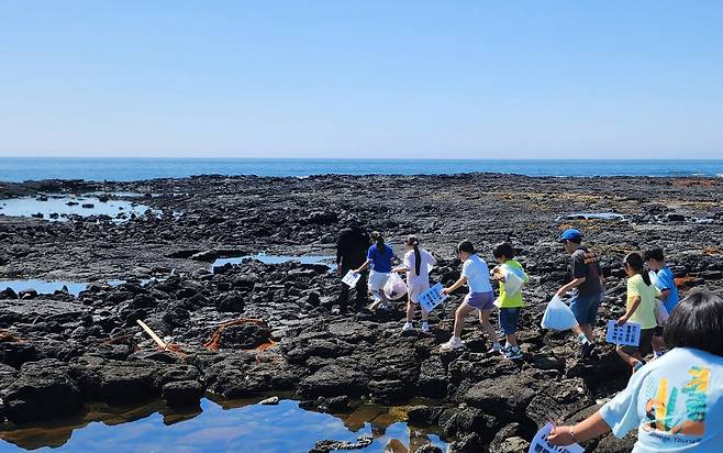 지난달 5일 태흥리 연안 조수웅덩이 탐방 현장학습 [태흥초등학교 제공. 재판매 및 DB 금지]