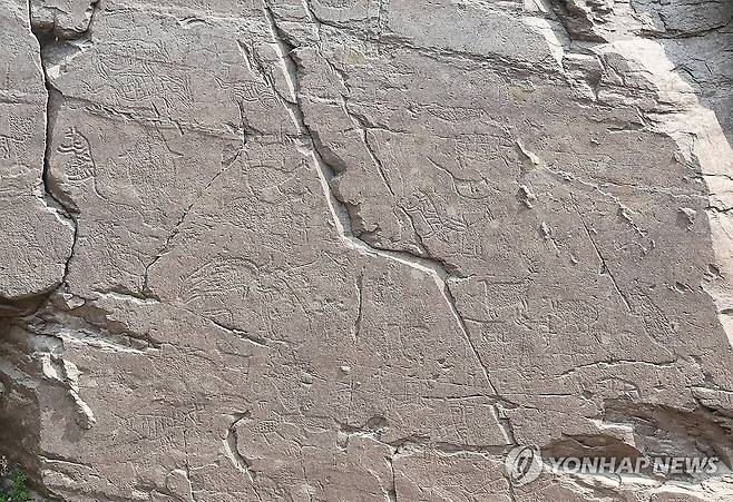 선명하게 보이는 반구대 암각화 속 동물들 [연합뉴스 자료사진]