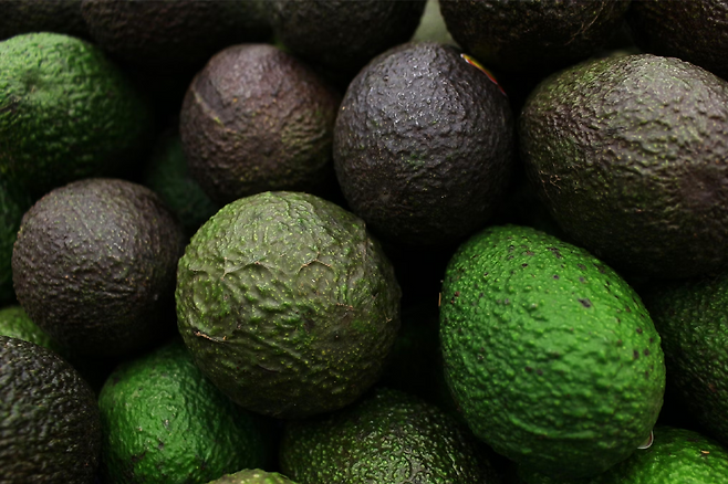 아보카도