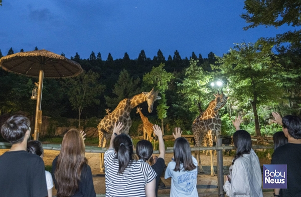 에버랜드 여름방학 동물 탐험_로스트밸리 썸머 선셋 어드벤처. ⓒ삼성물산