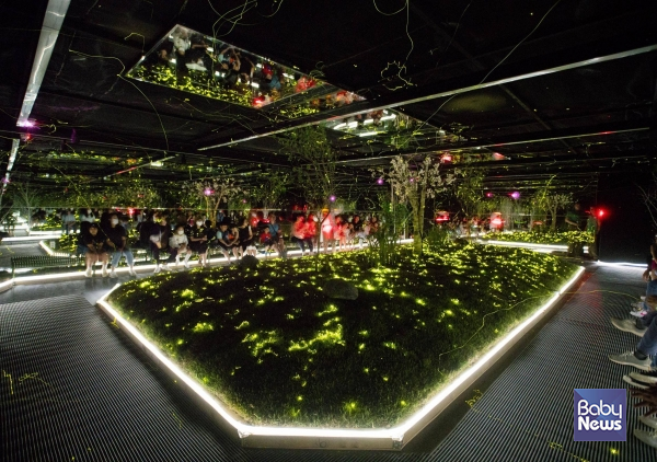 에버랜드 여름방학 동물 탐험_한여름 밤의 반딧불이 체험. ⓒ삼성물산