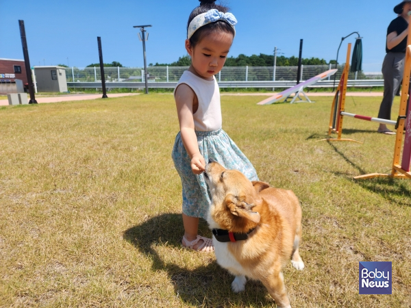 아이들이 반려동물과 교감을 나눌 수 있는 의성펫월드. ⓒ의성펫월드