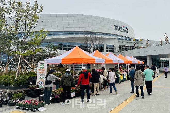 매주 일요일 세종~포천 고속도로에 개설되는 용인특례시 로컬푸드 직매장에 농산물을 구입하려는 사람들이 방문하고 있다.(사진=용인시)