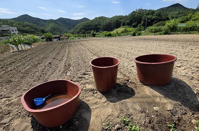 지난 11일 폭염 속에 농사조차 엄두 내지 못한 채 방치된 충남 금산의 한 밭의 모습. /신현종 기자