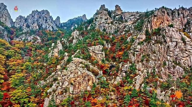 유네스코 세계유산위원회는 13일(현지시간) 프랑스 파리 유네스코 본부에서 열린 제47차 회의에서 북한 측이 신청한 금강산을 세계유산으로 확정했다. /연합뉴스